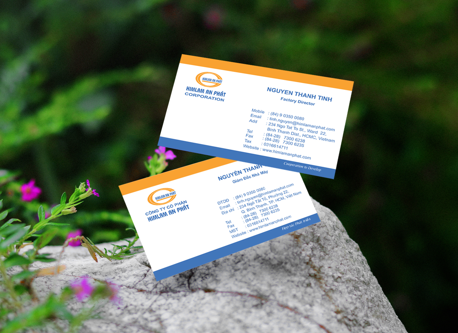 In card 5 hộp giá 250.000 đ - Hình 8