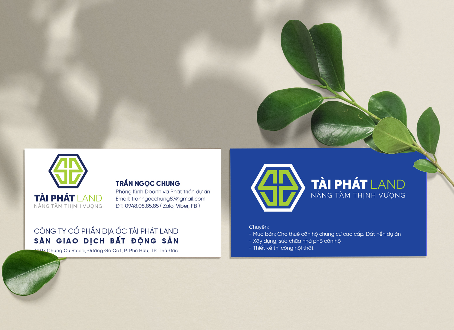 In card 10 hộp giá 400.000 đ - Hình 6